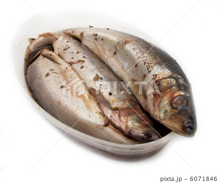 spicy salted herring on a white background 6071846