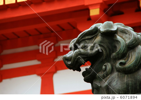 八坂神社狛犬 6071894