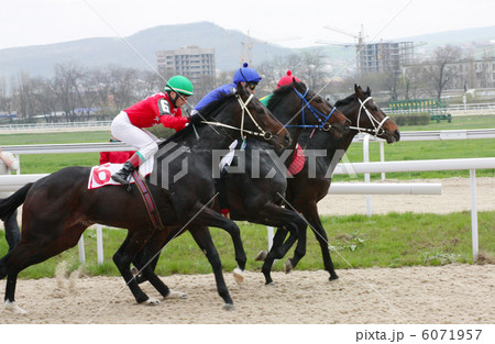 Horse racing. 6071957
