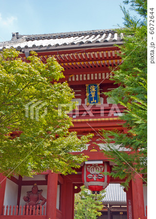 宝塔寺 仁王門 宝塔寺 仁王門 6072644