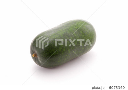 トウガン 6073360