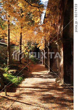 南禅寺 南禅寺 6074459