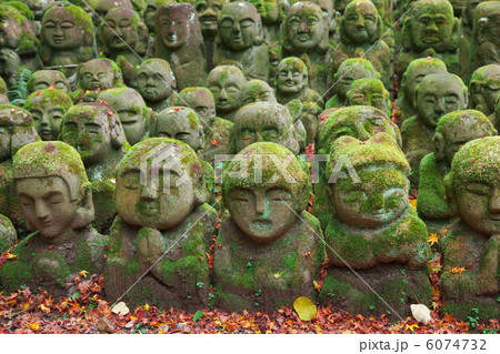 愛宕念仏寺 6074732