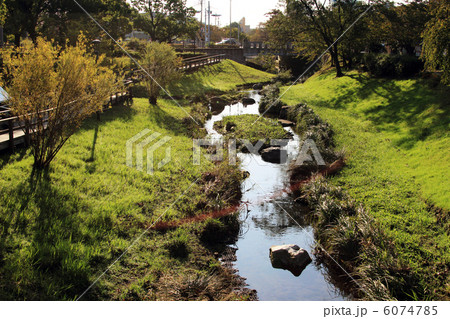 清水緑地公園 6074785
