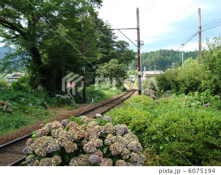 大井川鐵道　田野口駅 6075194
