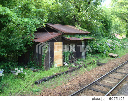 大井川鐵道　田野口駅 6075195