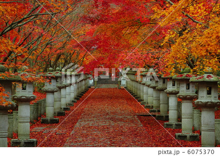 高山寺 高山寺 6075370