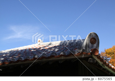 沖縄 リトルワールド 沖縄 リトルワールド 6075565