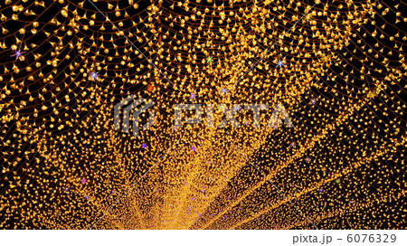 ウィンターシャワー 6076329