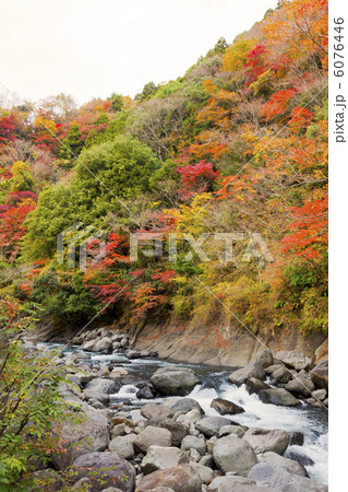 渓谷の紅葉 6076446