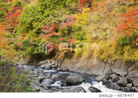 渓谷の紅葉 6076447
