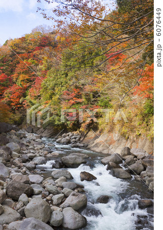 渓谷の紅葉 6076449