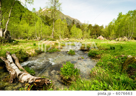 magic forest magic forest 6076663