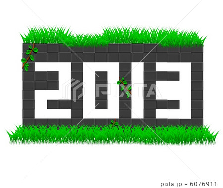 2013年 2013年 6076911
