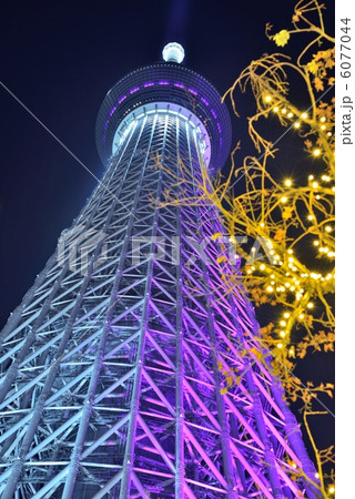 スカイツリー　冬雅　クリスマス 6077044