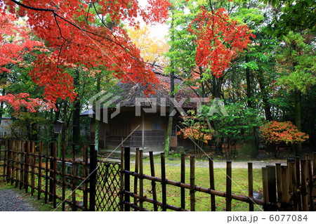 友泉亭の秋 友泉亭の秋 6077084
