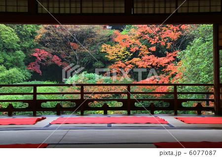 友泉亭の秋 友泉亭の秋 6077087