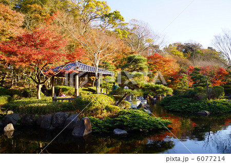 大磯城山公園　不動池 6077214