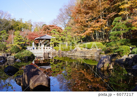 大磯城山公園　不動池 6077217