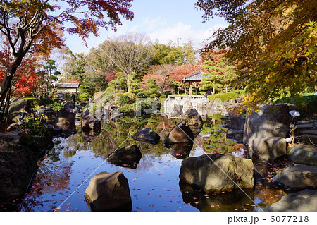 大磯城山公園　不動池 6077218