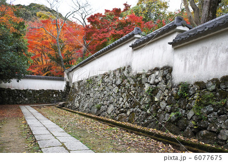 勝持寺への参道 勝持寺への参道 6077675