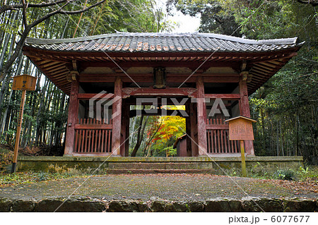 勝持寺の山門 勝持寺の山門 6077677