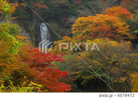 南阿蘇 紅葉の金龍の滝 南阿蘇 紅葉の金龍の滝 6078472