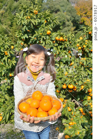 みかん狩りをする女の子 みかん狩りをする女の子 6078917
