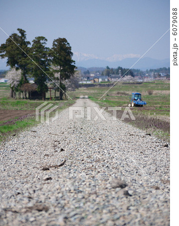 故郷の農道 6079088