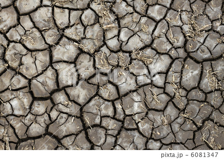 Dry soil texture 6081347