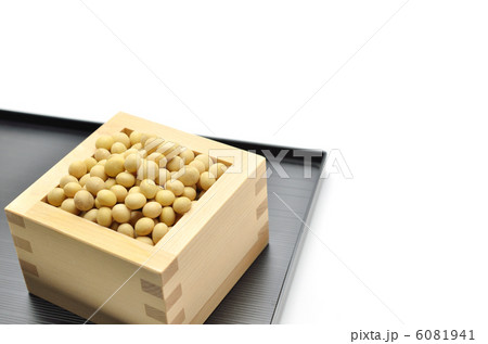 大豆　枡　白バック 6081941