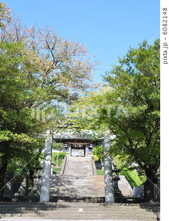 諏訪神社　鎮西大社 6082148