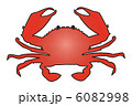 蟹-Crab 6082998