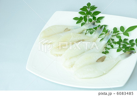 ふぐの一夜干し 6083485