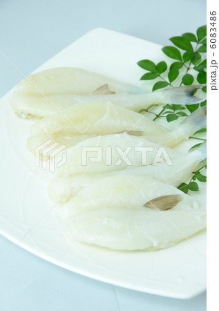 ふぐの一夜干し 6083486