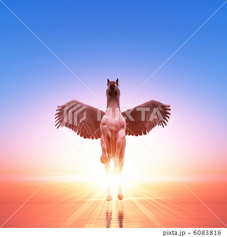 ペガサス 6083816
