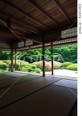 詩仙堂のサツキ 詩仙堂のサツキ 6085069