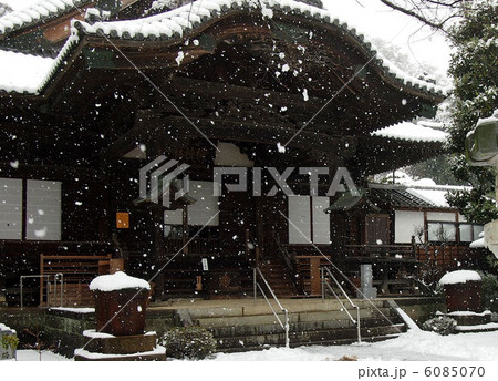 冬の弘経寺 2 6085070