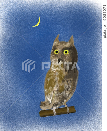 月とコノハズク 6085071