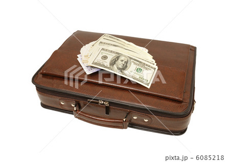 portfolio and dollars isolated on white background 6085218