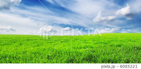 spring meadow spring meadow 6085221