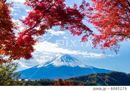 河口湖モミジトンネル 6085279