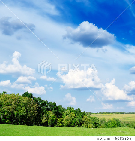 green meadow 6085355