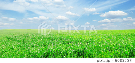 green field 6085357