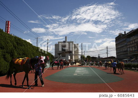 福山競馬場　パドック 6085643