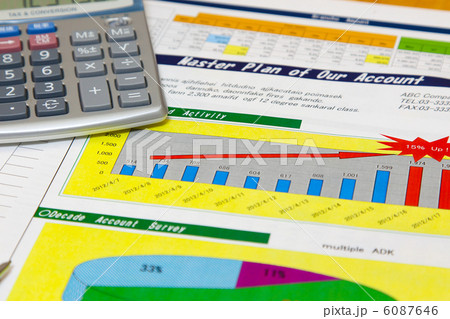 実績報告書 6087646