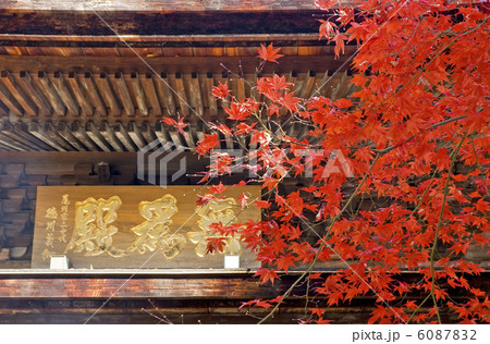 定光寺の紅葉 定光寺の紅葉 6087832