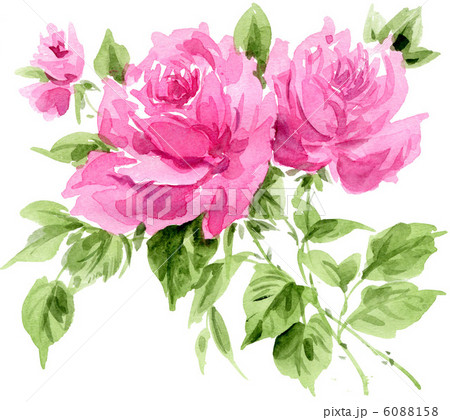 pinkrose121203pix 6088158