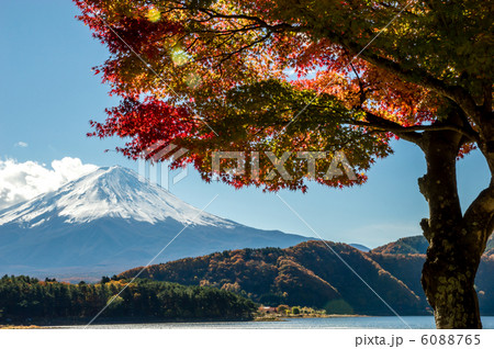 河口湖モミジトンネル 6088765