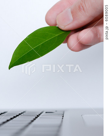 葉とキーボード 6089005